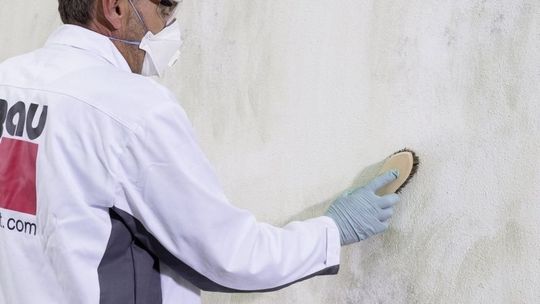 STOP grzybom i pleśniom na ścianach! 