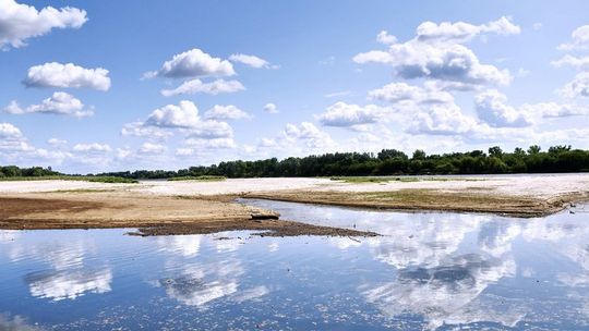 Susza zagraża nam wszystkim. Sprawdź, jak oszczędzać wodę i pieniądze