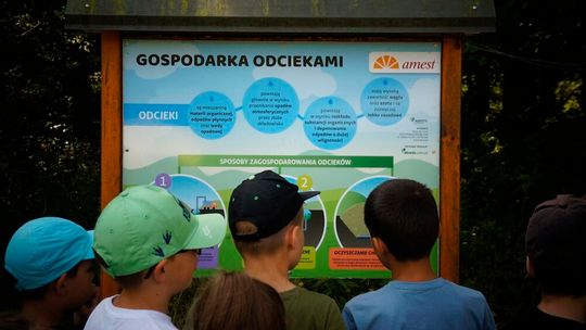 Światowy Dzień Edukacji Ekologicznej. To wiedza, która przekłada się na codzienne decyzje