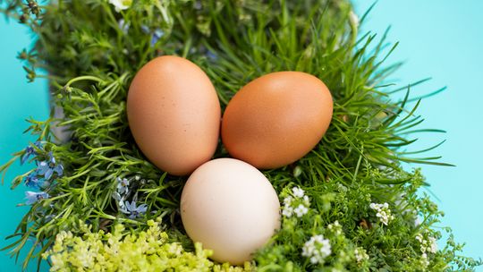 Światowy Dzień Jaja: czy wiesz, co naprawdę kryje się pod skorupką?