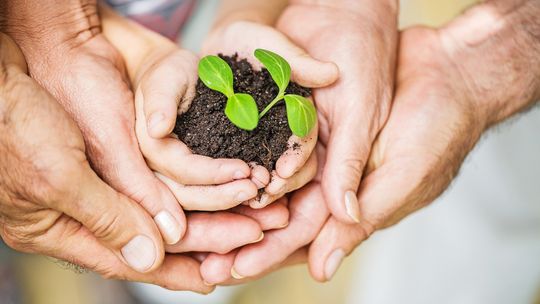 Światowy Dzień Ochrony Środowiska. Jak dbać o naturę nie tylko od święta?