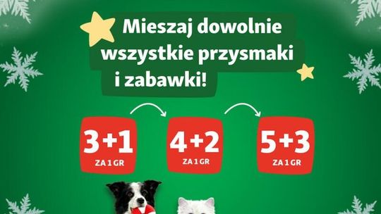 Święta w branży pet care – jak zmieniają się zwyczaje zakupowe Polaków i co to znaczy dla rynku?