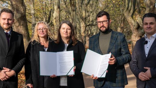 Szczecińskie pomniki przyrody pod dobrą opieką