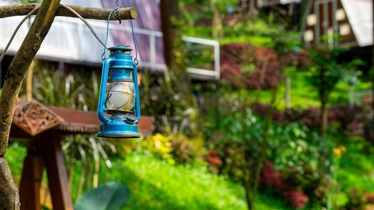 Sztuczne drzewka i trawy ozdobne – czy warto na nie postawić?