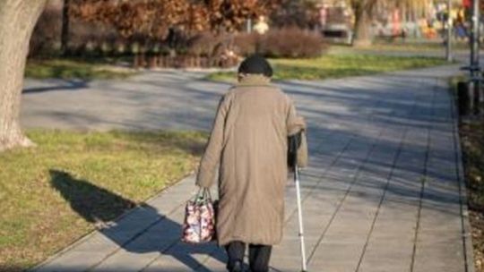 Ta nasza starość, niepiękny ptak