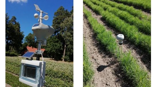 Tensjometr sposobem na racjonalnie gospodarowanie wodą