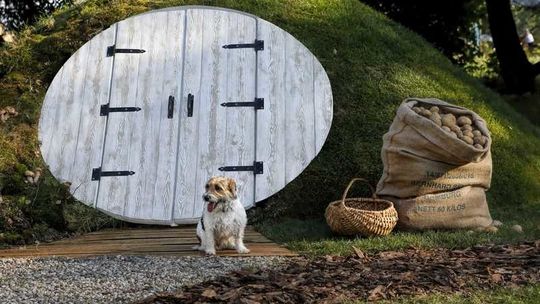 The Shire Cellar – piwniczka ogrodowa, która zachwyci najbardziej wymagających