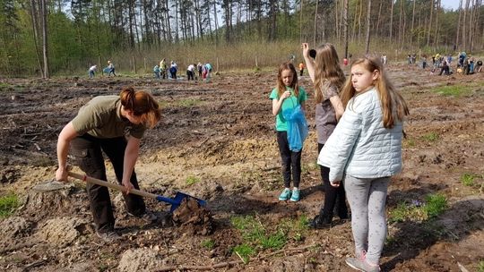 To już w sobotę 13. kwietnia -  największe sadzenie lasów w Polsce będzie w okolicach Szczecina