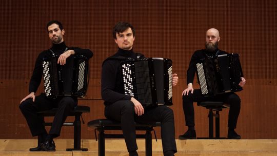 Trio akordeonowe na Zamku