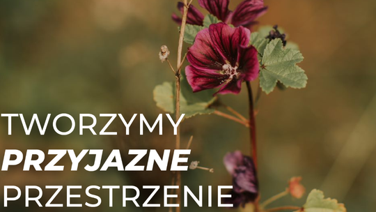 „Tworzymy przestrzenie przyjazne ludziom i środowisku” – ROBYG rozpoczął kampanię  w zrównoważonym duchu