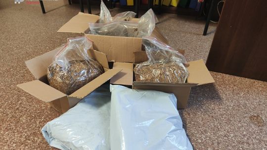 Tytoń z przemytu zatrzymany w paczkach do mieszkańców Zachodniopomorskiego