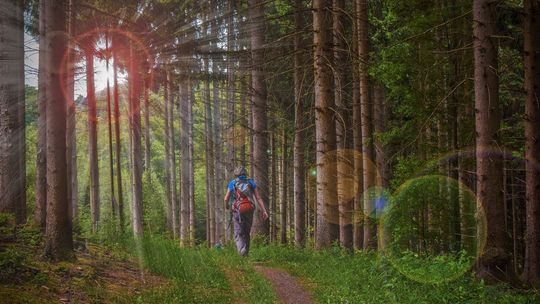 Urlop w stylu eko. O czym pamiętać podczas wakacji na łonie natury