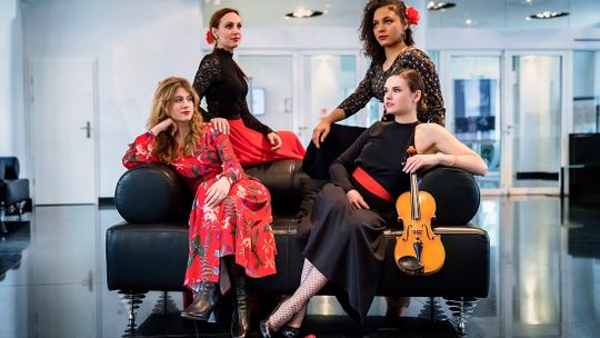 W Ogrodzie Japońskim zapraszamy na „Muzyczną podróż bez granic”