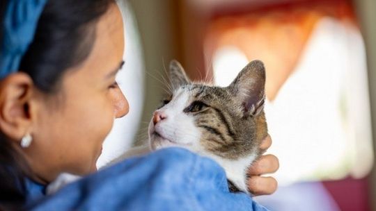 W sytuacjach stresowych wolimy spędzać czas ze swoimi zwierzętami