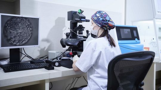 W Szczecinie rusza nowa klinika leczenia niepłodności 