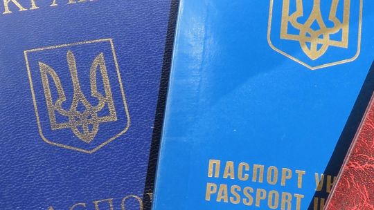 W trzy miesiące obcokrajowcy założyli u nas blisko 12 tys. jednoosobowych firm. To prawie 16% ogółu