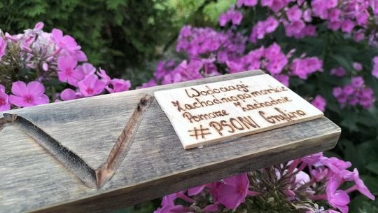 W upalne dni: Poidełka dla pszczół