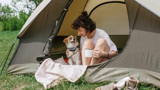 Wakacje z pupilem? Dobre przygotowanie to połowa sukcesu