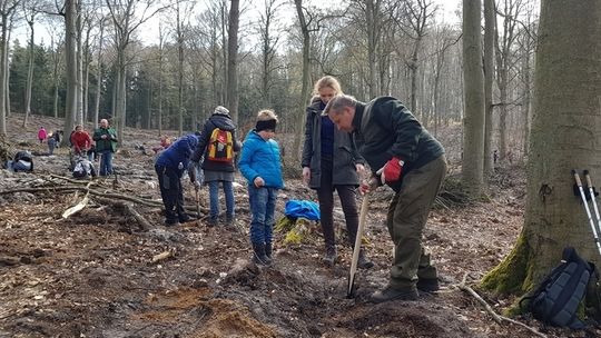 Walczą ze smogiem  - Sadzili drzewa w puszczach