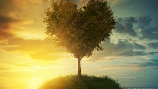 Zdjęcie ilustracyjne