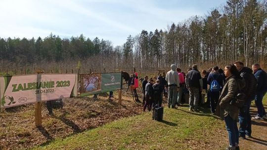 We wspólnej akcji posadzili dwa tysiące dębów