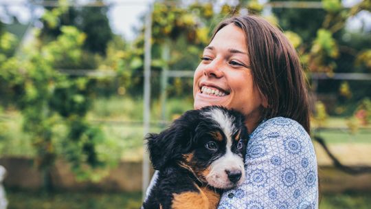 Weekend Adopcji TOZ i Mars Polska: daj miłość, zyskaj miłość