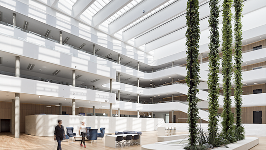 Wellbeing pracowników – oto rozwiązania, które podwyższają komfort pracy