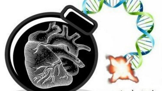 Więcej niż połowa Polaków ma podwyższony cholesterol