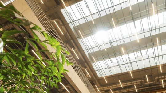 Więcej światła w budynkach publicznych – czas na nowoczesne rozwiązania