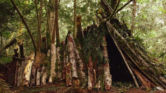 Wiosenne wyjazdy w wersji extreme – czego potrzebujesz, by przetrwać w dziczy?