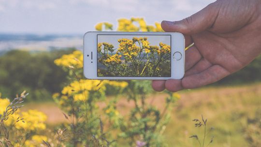 „Wiosna w lesie” - konkurs plastyczny