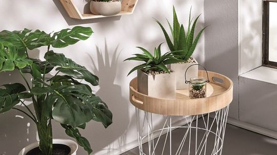 Wnętrza pełne roślin – sposób na kontakt z naturą bez wychodzenia z domu