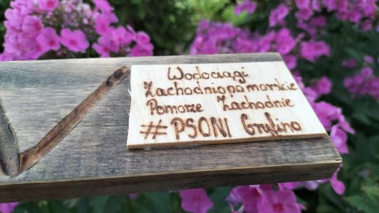 Wodociągi dla środowiska -  Poidełka dla pszczół