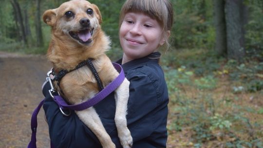 Wychowankowie MOS w Waniorowie w schronisku komunalnym dla bezdomnych zwierząt w Sosnowicach