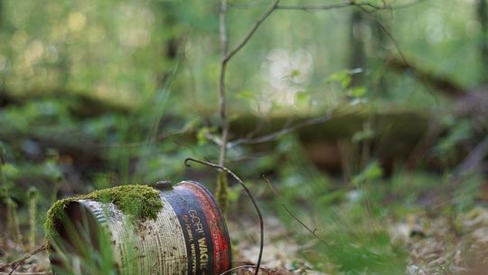 Wypoczynek, przyroda i śmieci. Oto dlaczego tereny zielone toną w odpadach