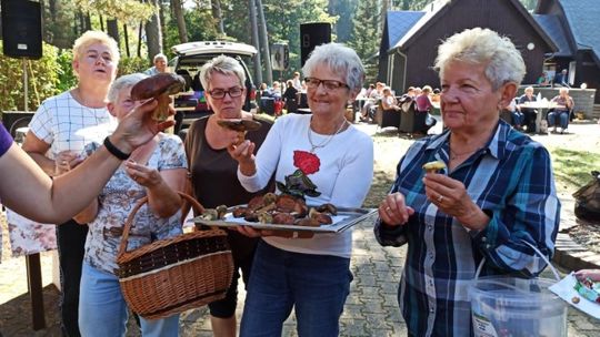 Wyprawa w poszukiwaniu grzybów