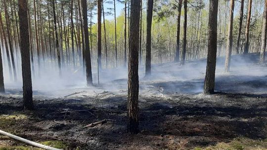 Wysokie zagrożenie pożarowe