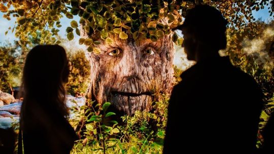 Wystawa „10 milionów drzew” pokazuje, co to znaczy „być po stronie natury”