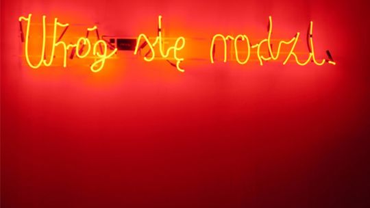 Wystawa Traumy wojny