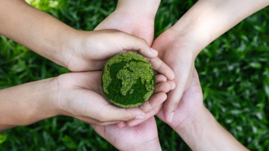 Wyzwania, zmiany i nowe technologie na rzecz planety. Ekologiczne trendy na 2025 rok