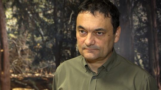 Wzmocniona ochrona ponad 1,2 mln ha lasów. Część zostanie wyłączona z pozyskiwania drewna