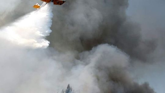 Wzrasta zagrożenie pożarowe w lasach