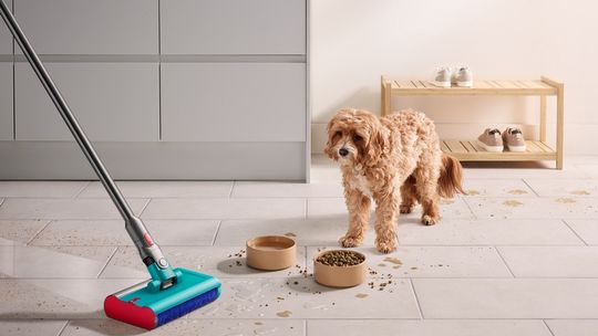 Z badania przeprowadzonego przez firmę Dyson wynika, że większości z nas zależy na czystych domach, ale nieświadomie sprawiamy, że nasze podłogi stają się jeszcze brudniejsze