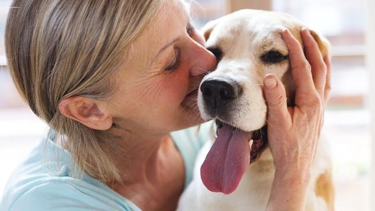 Zadbaj o zdrowie pupila – kiedy sięgnąć po karmy specjalistyczne i suplementy