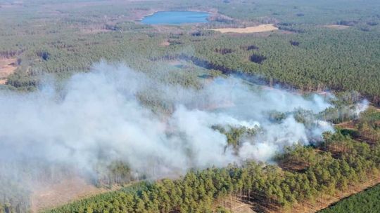 Zagrożenie pożarowe na terenie RDLP Szczecin