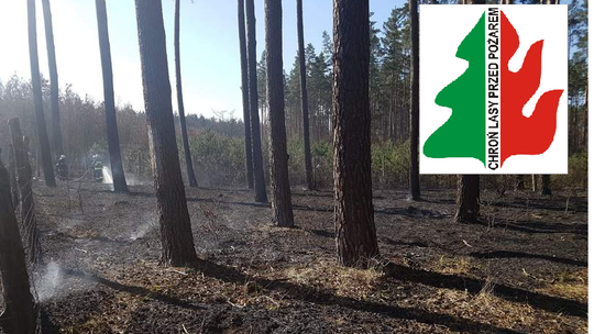 Zagrożenie pożarowe w lasach.  Każdego dnia większe 