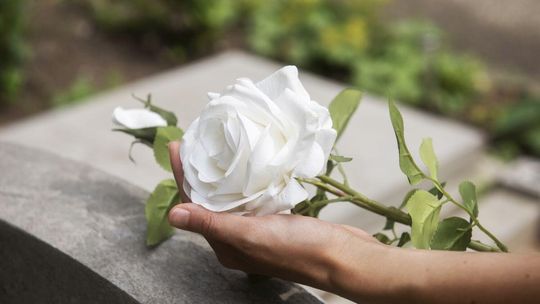 Zakład Pogrzebowy w Krakowie: Kompleksowa Obsługa i Wsparcie