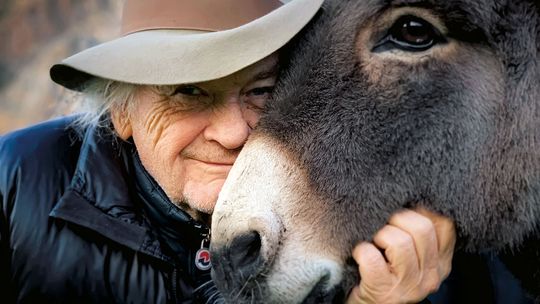 ZAMEK KSIĄŻĄT POMORSKICH W SZCZECINIE Program wydarzeń kulturalnych – styczeń 2023