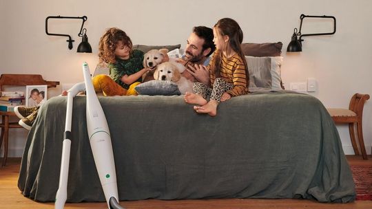 Zapachy w domu, które oczarują każdego! Rola aromatów w Twoim domu