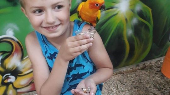 ZAREJESTRUJ SIĘ  W BAZIE POTENCJALNYCH DAWCÓW SZPIKU DKMS  I ZRÓB URODZINOWY PREZENT IGOROWI  Z TRUSKOLASU!